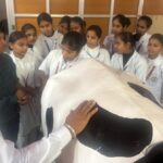 RAJSAMAND// “स्मार्ट गाय के साथ स्मार्ट प्रशिक्षण” विषय पर एक दिवसीय संगोष्ठी आयोजित