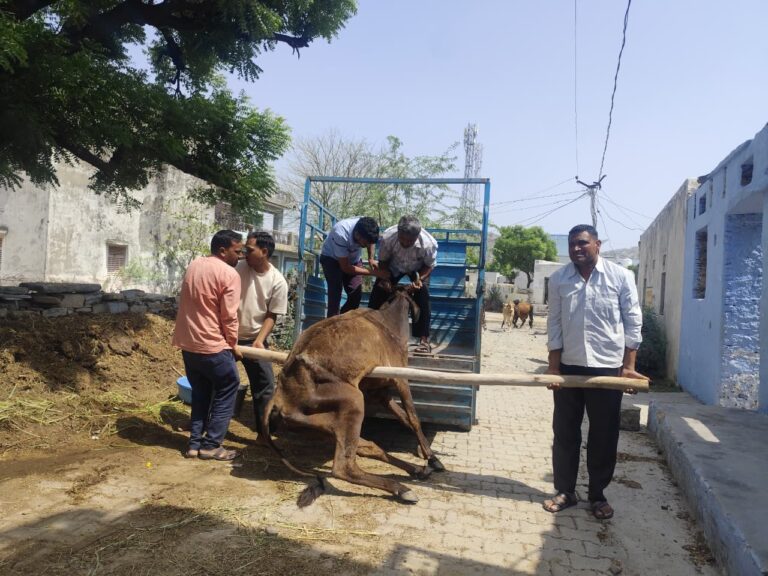 Beawar